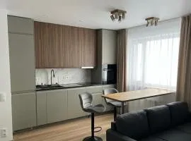 Kuressaare Cozy Apartment with Sauna