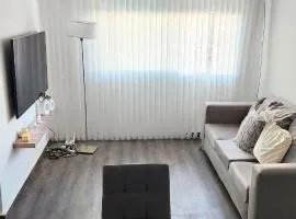 Departamento amoblado zona centro un dormitorio