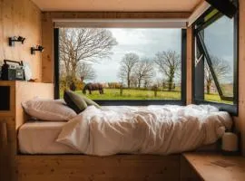 Carré d'Ach - Parcel Tiny House - Tiny House près de Rennes entourée par les chevaux MAE-7543