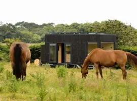 Ty Pois - Parcel Tiny House - Tiny House Celestine en Bretagne MAE-2421