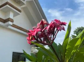 Private Fancy Rooms In Dumaguete City!