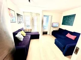 Exclusive Smart Home Central Oslo