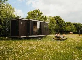 Puits Carré - Parcel Tiny House - Tiny House près des chevaux dans le Perche MAE-8941