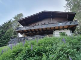 Chalet Alpl - Ferienwohnung Waldblick mit Sauna, Kamin & Whirlwanne, hotel a Hochrindl