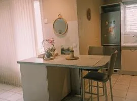 Mauguio-Carnon Apt T2 Tout Confort, Spacieux, Lumineux, Clim, Wifi, Balcon, parking privé, 15 mn des plages, de Montpellier