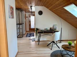 Apartment Ochsenhausen Monteure Geschäftsreisende 2 Schlafzimmer WLAN Parkplatz, Hotel in Ochsenhausen