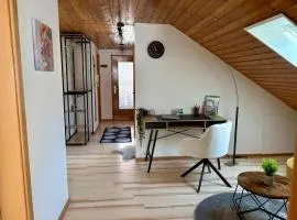 Modernes Apartment zentral in Ochsenhausen mit Parkplatz und WLAN ideal für Business und Urlaub