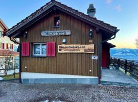 Panorama-Chalet Unterbach, viešbutis mieste Hinwil