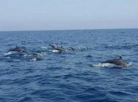 JRN island beach stay Honnavar