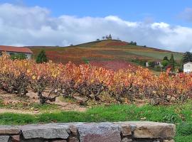 La Cazotte entre vignes et village، فندق في فلوري