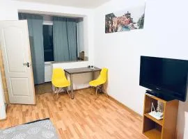 Studio Apartment Take Ionescu