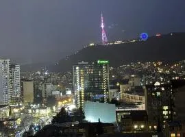Comfortable Apartment In Tbilisi