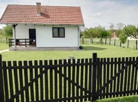 Veseli svet-Zvizdar,Ub