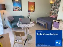Studio Mimosa Croisette