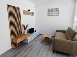 FLH - Apartament Central Silva
