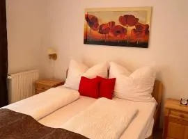 KŐNIG APARTMAN III.