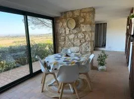 Grand T2 bis avec terrasse et vue