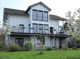 Ferienwohnung Rheingeschaut