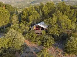 Camping la Peiriere - Lodge en Pays Cathare