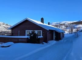 Fjellheimens Svanebu, khách sạn ở Tyinkrysset