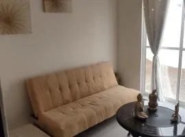 Casa con alberca puerta paraiso