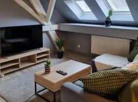 Bel appartement hyper centre