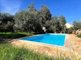 Chalet climatisé, piscine et barbecue