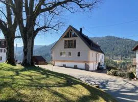 Schwarzwald-Ferienwohnungen Haus Linde