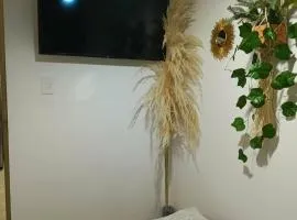 Habitacion Sencilla con baño compartido en Apartamento ambiente NO FAMILIAR