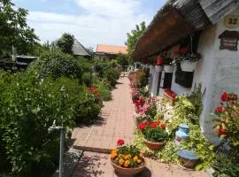 Nádasház