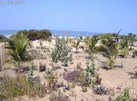 Demba Dou Suites Gardens