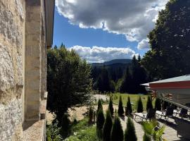 Maiers Hotel, hotel u gradu Bajeriš Ajzenštajn