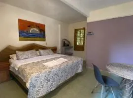 Jardín del Mango Nu