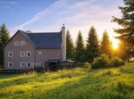 Forest House near Klínovec with 5 Independent Apartments