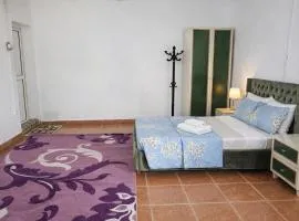 Furnished Studio - Cite Progres