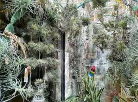 OASIS EPÍFITO URBANO Botanical Wellness Oasis near City of Arts & Sciencies