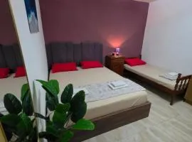 Viki Apartmani