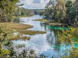 Countryside Oasis in Ocala