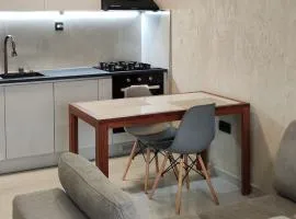 Mountain View Studio 2