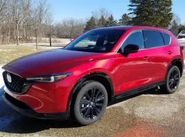 Car rental