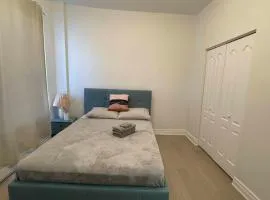 Metro Toronto Downtown Residences