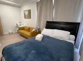 Metro Toronto Downtown Residences