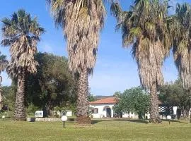 Eden's Garden Kalamitsi