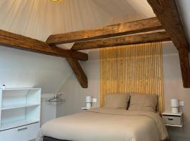 Duplex moderne au pied des vignes, Hotel in Thann