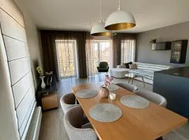 Apartment in the city center