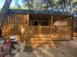 Mobile Houses Dru Cosy