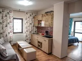 Apartament Cristina cu doua dormitoare & balcon & parcare
