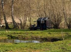 Kuschliger Schäferwagen auf Wiese autark