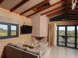 Hilltop Chalet 5