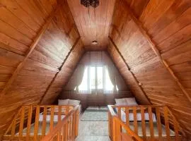 Cabin Wahyu abadi near Prau mountain type segitiga